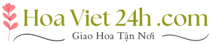 HoaViet24h.com