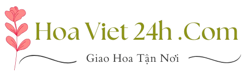 HoaViet24h.com