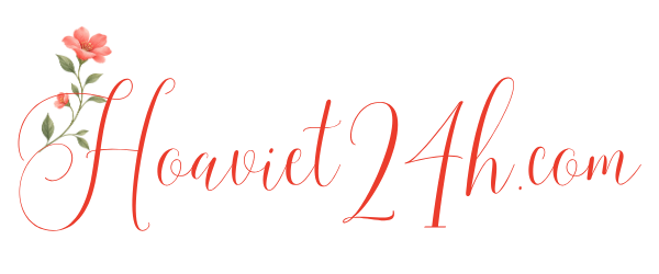 HoaViet24h.com
